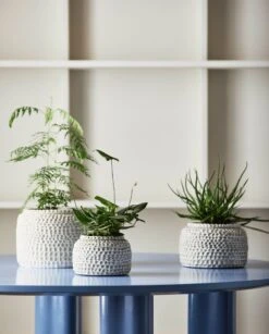 Nordal Aoba Pot S - 6497 -Nordal nordal aoba pot s 6497 2