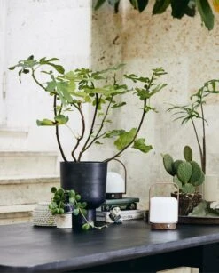 Nordal Troy Draagbare Lamp - 59081 -Nordal nordal troy draagbare lamp 59081 3